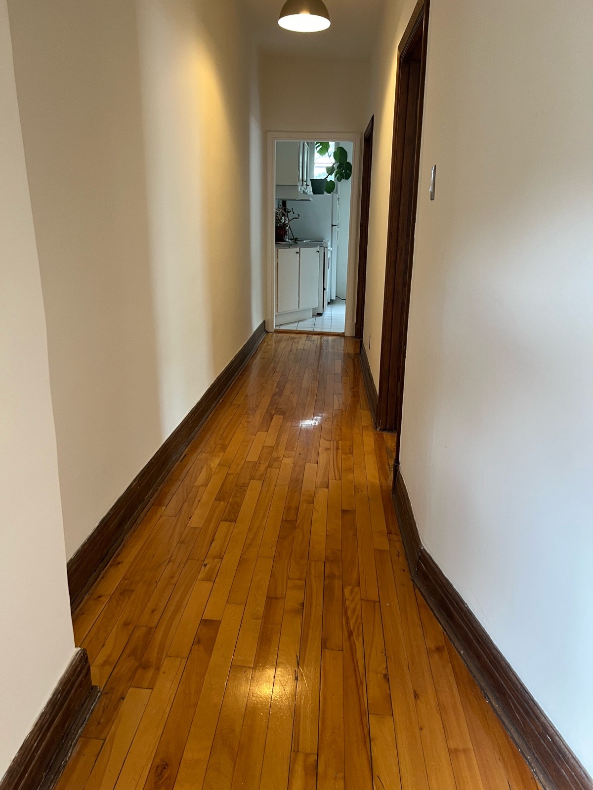 2019 Av de Marlowe — photo 3