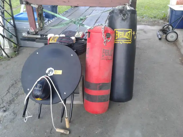 Heavy Bags, Speed Bag, and Accessories in Exercise Equipment in City of Halifax - Image 2
