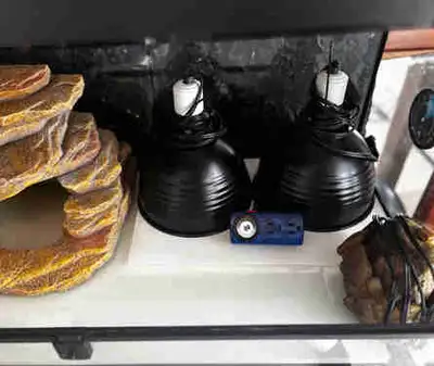 Reptile Tank, View more