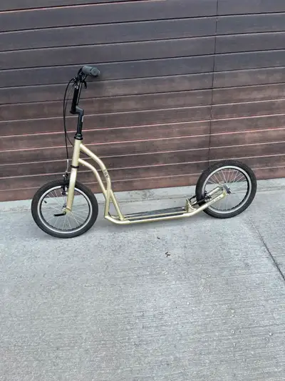 Yedoo adult kick scooter, View more