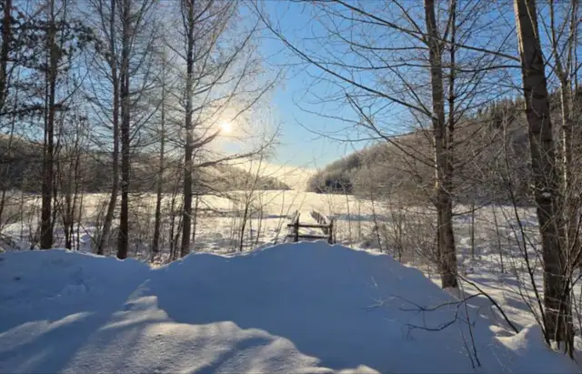 Visite libre 22 février  13h  Maison au bord du lac Brebeuf in Houses for Sale in Saguenay - Image 3