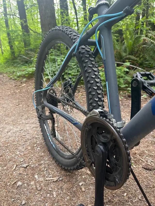 CCM Mountain Bike in Mountain in Delta/Surrey/Langley - Image 5