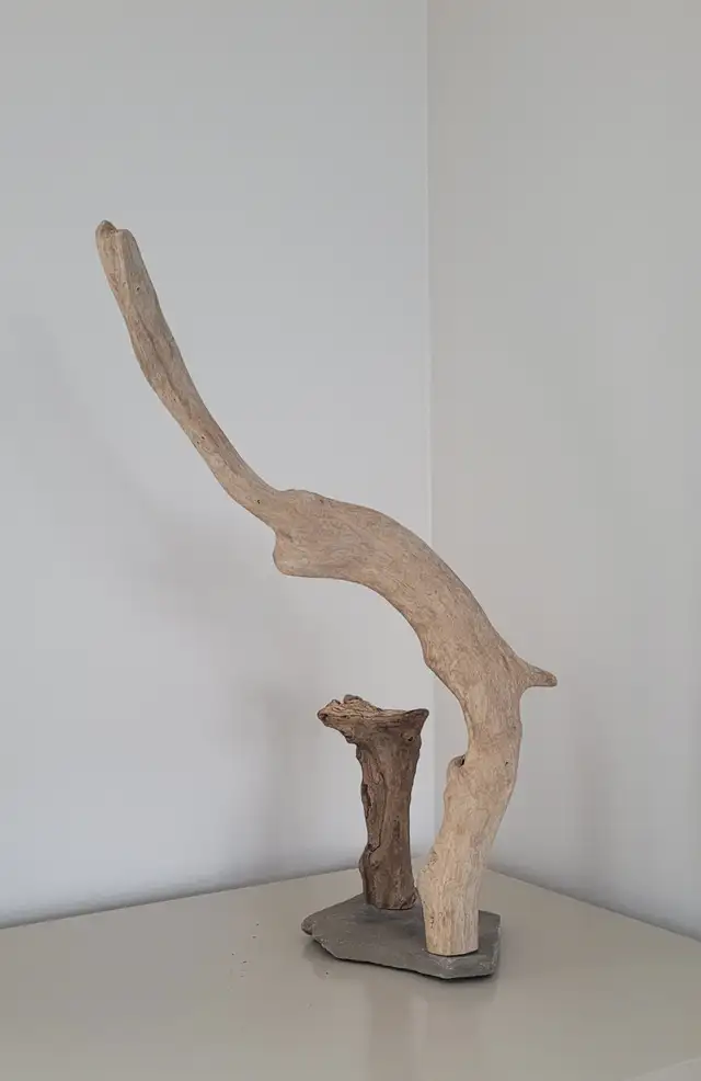 Bois Flotté Accessoire sur base Aquarium Driftwood w/base in Hobbies & Crafts in Laval / North Shore - Image 2