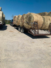 Standing hay. 519 274 3946