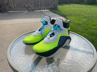 Lebron soldier basketball shoes