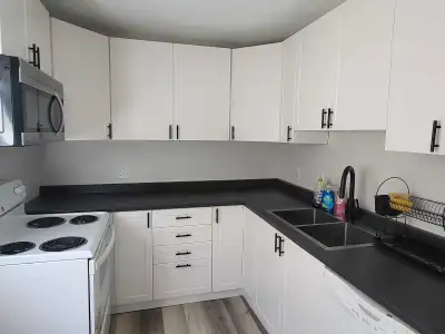 Livingston Ave student rental