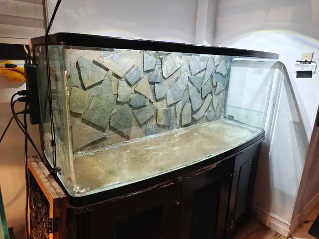 aquarium 105  gallon  jebao fishtank large big in Fish for Rehoming in Laurentides - Image 2