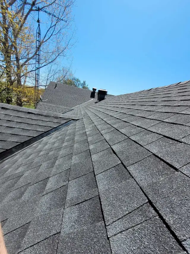 Roofing services63006659686275127