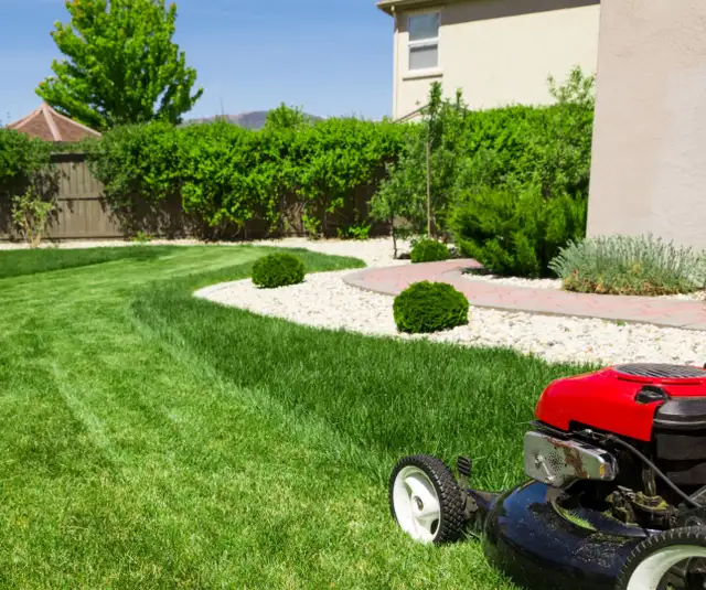 Grass Cutting Starting $19 Same Day Visit62863277766914124