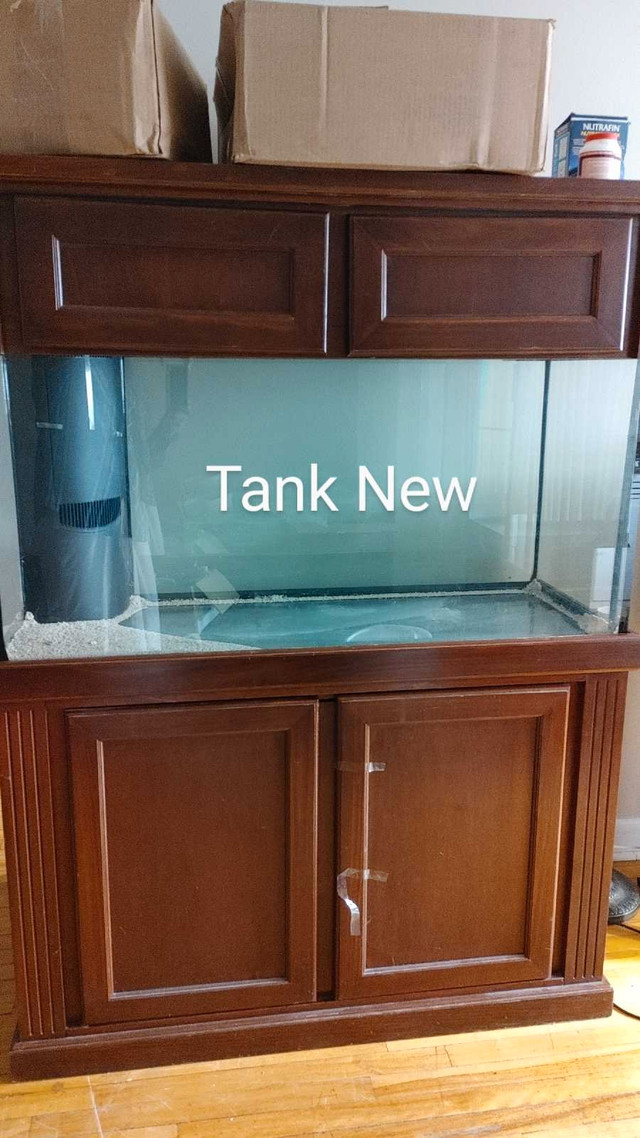 New Saltwater/Freshwater/Reptile Aquarium Fish Tank Setup Sale in Fish for Rehoming in Ottawa