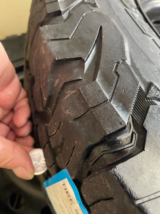 RAM 20” Winter Tires on Rims in Tires & Rims in Kitchener / Waterloo - Image 3