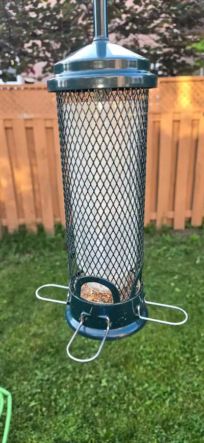 Squirrel buster BROME bird feeder + sturdy shepherd hook, View more