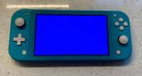 Nintendo Switch Lite W/ Blue Screen