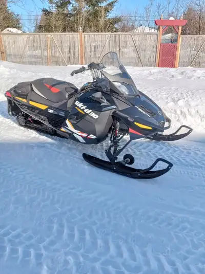 Chenilles croutées de compagnie ,roues de transport,