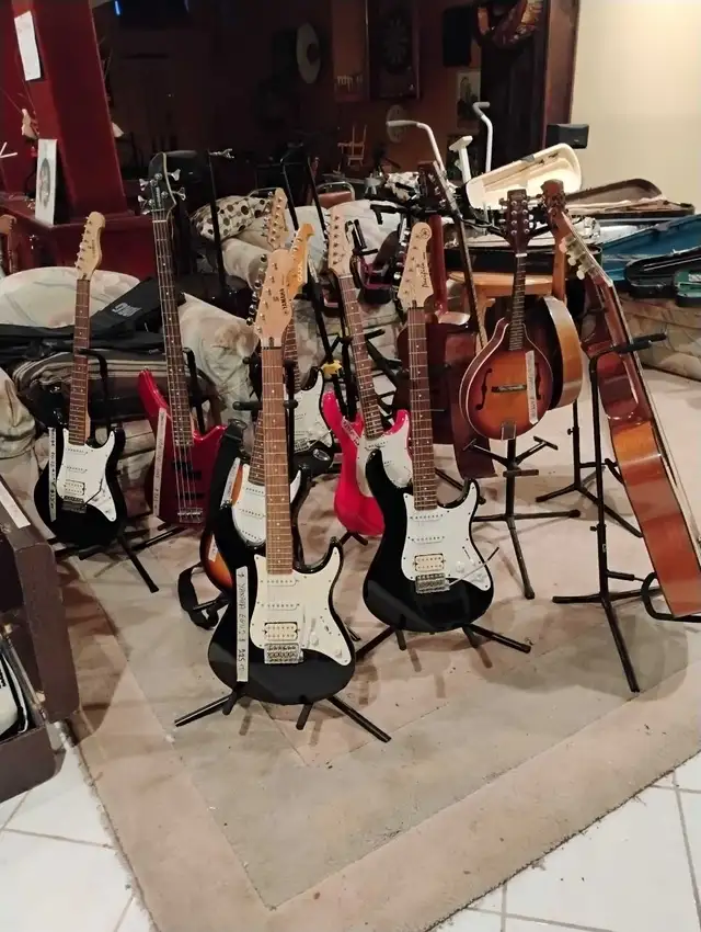 vintage musical instruments in Other in Markham / York Region - Image 7