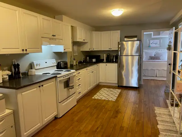 PRESTIGIOUS & SPACIOUS 1bdrm apartment- all inclusive! in Long Term Rentals in Kingston - Image 9