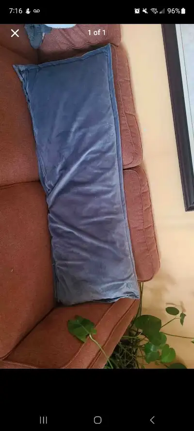 throw pillow 4ft × 1.5 ft, View more