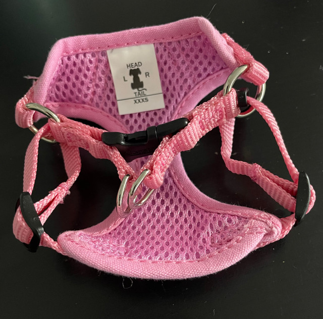 Xxxs dog harness in Accessories in Trenton - Image 2