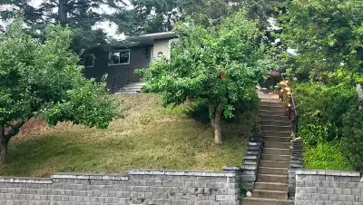 FURNISHED, UTILITES & WIFI INCLUDED BR in a quiet area of Cambrian Height This is a rental for 1 or...