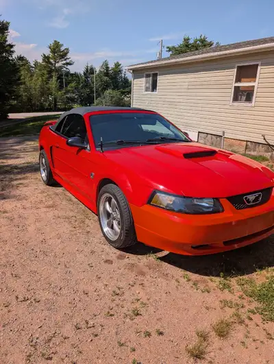 2004 GT MUSTANG 40TH ANNIVERSARY, RAGTOP ,106,000 km's, automatic,works and sounds great,no rust,col...