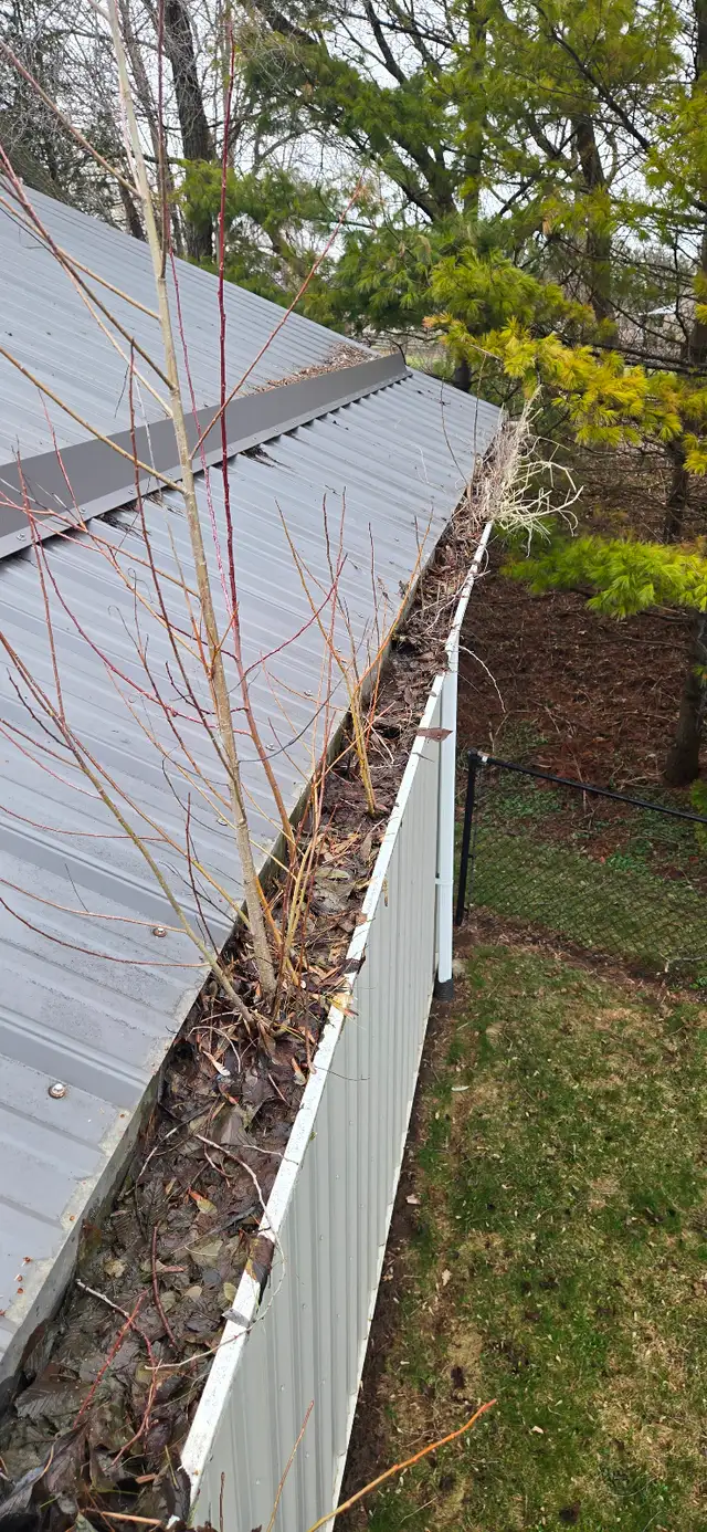 Gutter and Window Cleaning560187903627110401
