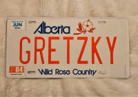 Replica Wayne Gretzky Aluminum Liscense Plate