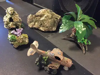 AQUARIUM DECORATIONS - Pickering , Voir plus
