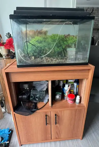 10 gallons tank full setting with stand  - just add water, View more