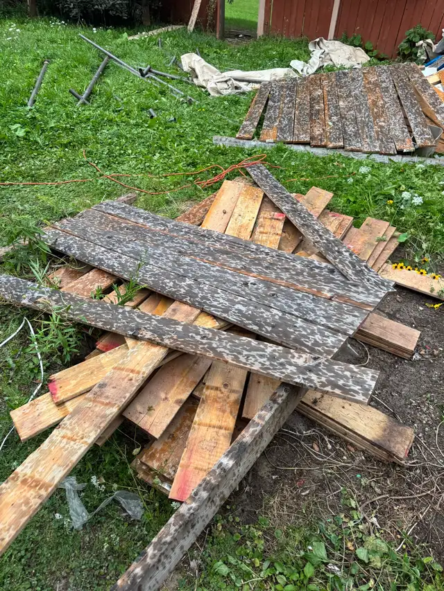 free lumber566978750836920321