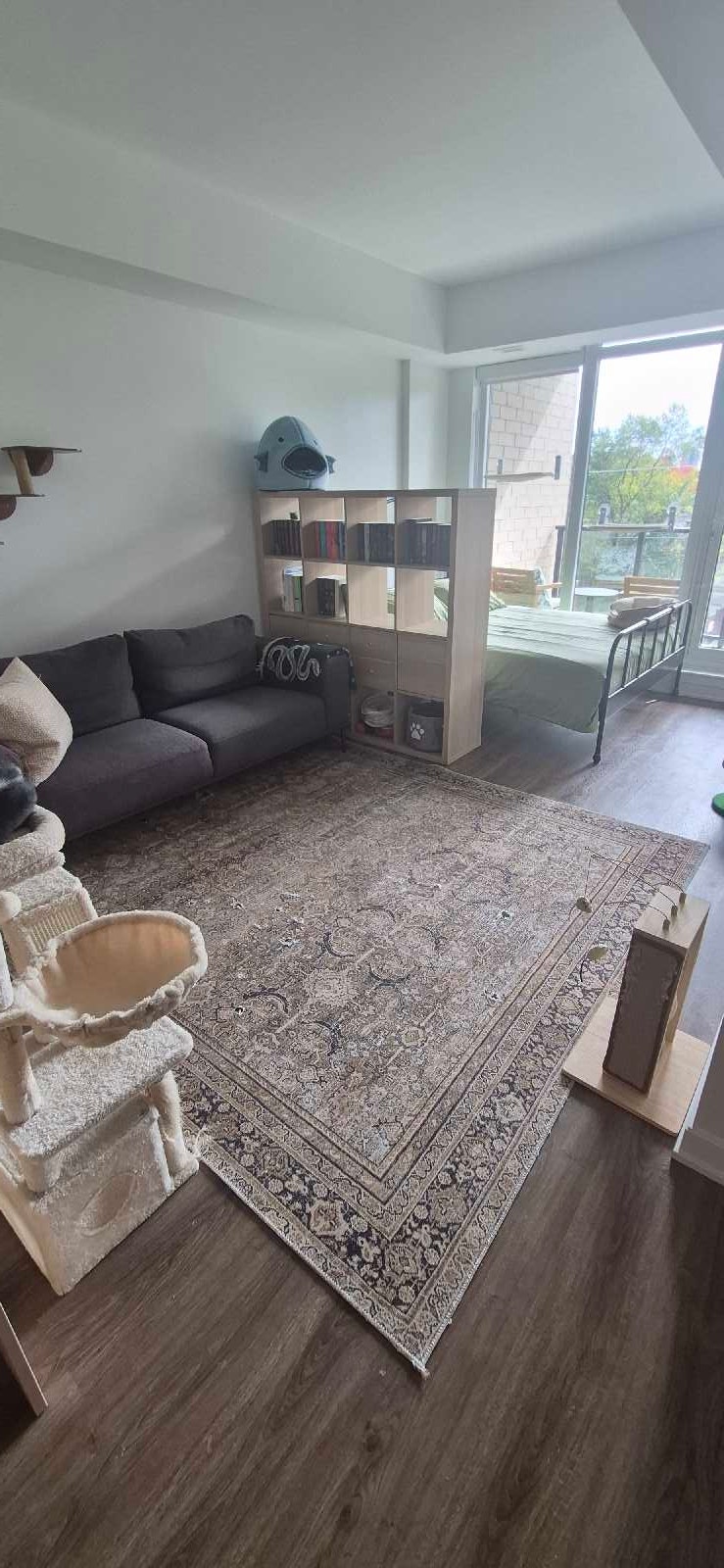 Studio apartment available for November 1 - westboro 5