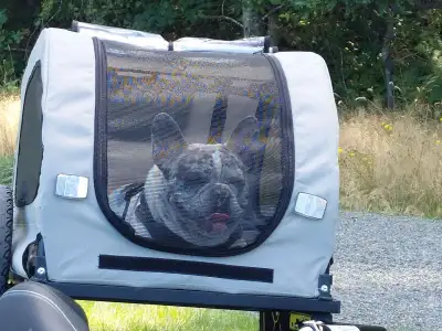 Dog Bicycle Trailer, View more