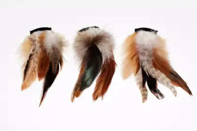 Plumes pour cheveux (neuves), View more