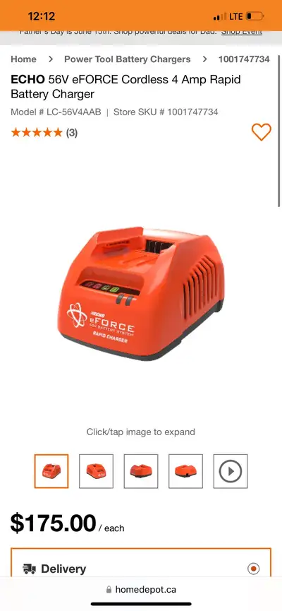 ECHO 56V eFORCE Cordless 4 Amp Rapid Battery Charger, View more