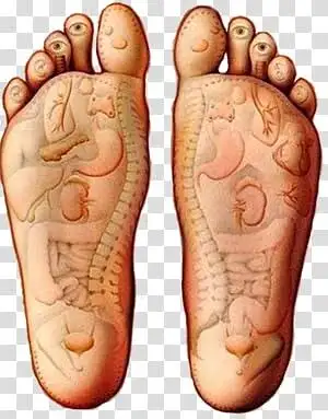 Reflexology Certification Program in October566988938811822082