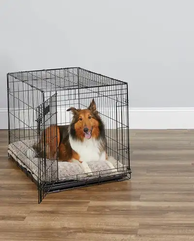 Cage chien