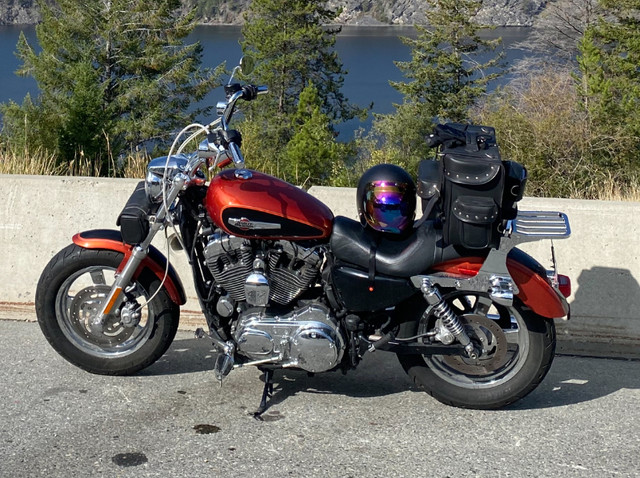 2011 Harley Davidson Sportster 1200 in Street, Cruisers & Choppers in Cranbrook - Image 2