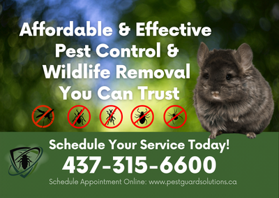 Wildlife & Pest Control Starting at $199 | Fast & Effective, View more