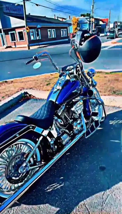 Harley Davidson fat boy monter chicano moto super bien entretenu au fil du temps beau look qui fait...