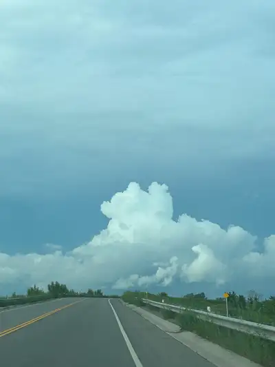 Looking for a 4 bedroom home for rent (FULL house please) with finished basement. Budget is 3100 a m...