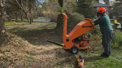 I am selling a professional wood chipper. This robust machine is designed for efficiently turning br...