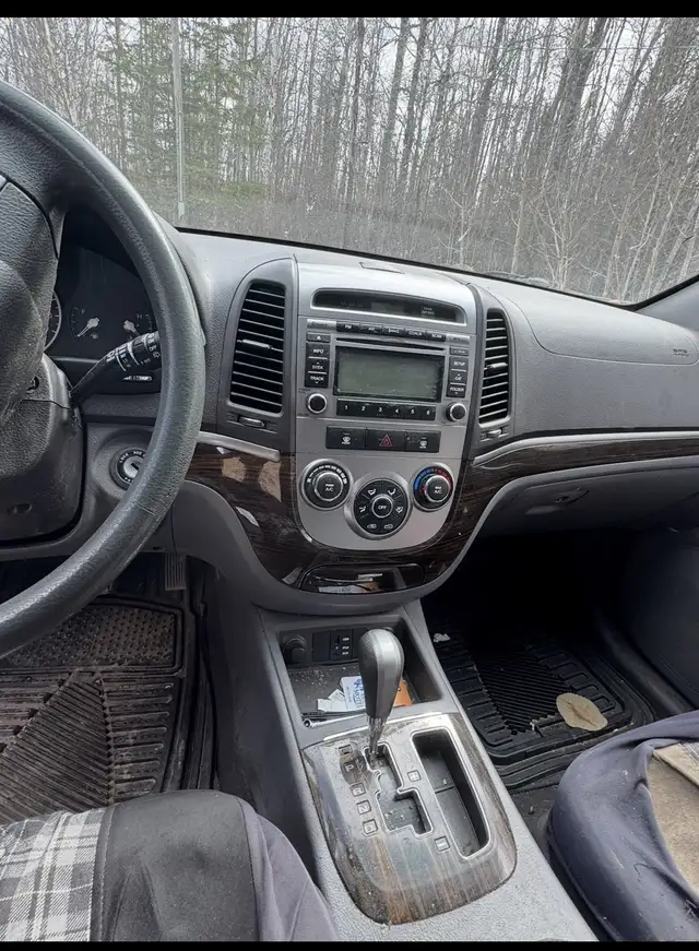 2010 Santa Fe64959943389313123