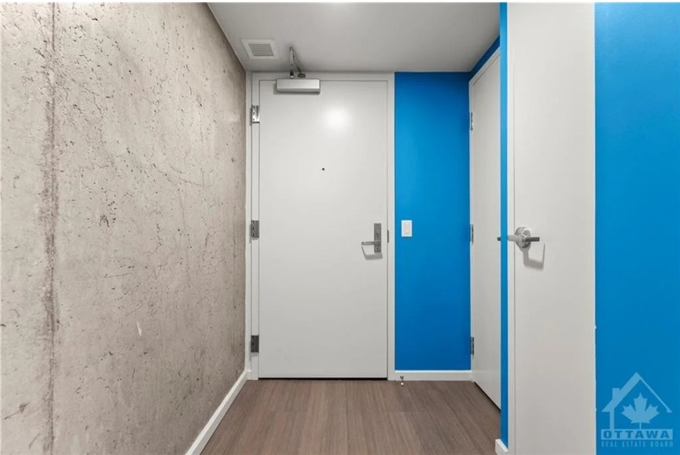 Beautiful Studio Apartment For Rent - Little Italy, Carleton 3