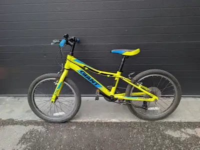 Giant XTC Jr 20 inch Kids Bike in excellent condition. Lightly used and all gears, brakes work perfe...