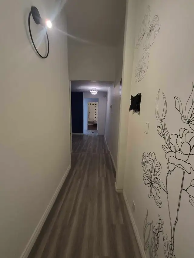 Rooms for rent to Student