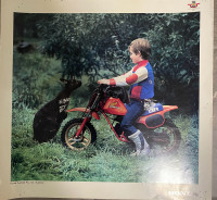 1984 Honda QR-50 Australian Poster 17 in x 16 in