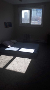 Downtown room to rent . 