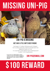 Lost Uni-Pig, our little guy's most precious stuffie :(