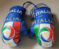 Italia Italia Blue FIFA Miniature Boxing Gloves FIGC Logo