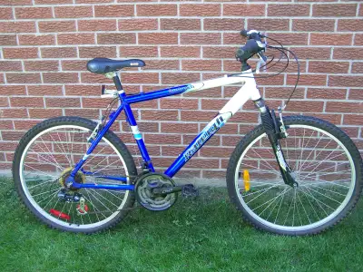 21-speed Raleigh Ambush in Excellent Condition, View more
