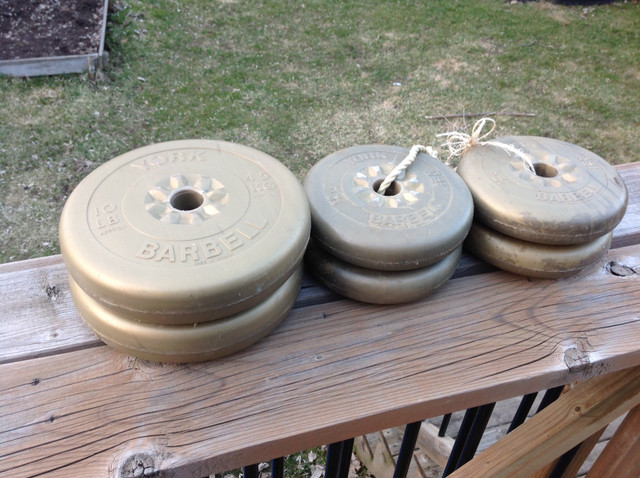 Lot York Barbell 5 & 10 LB Weights For Gym Exercise  in Exercise Equipment in Kitchener / Waterloo